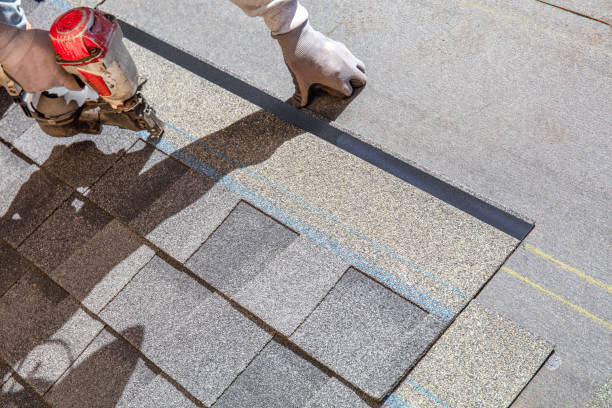 Best Roof Gutter Cleaning  in Mulvane, KS